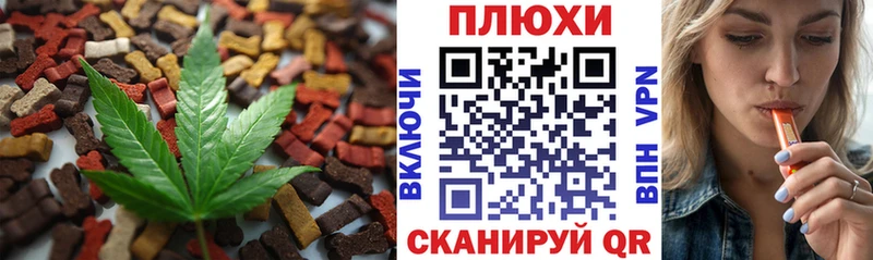 Canna-Cookies марихуана  kraken   Правдинск 