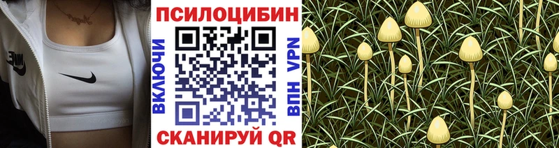 Псилоцибиновые грибы прущие грибы  гидра ссылки  Правдинск 